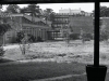 La Forêt Pensante, 2024, photo numérique, noir et blanc, cadre chêne clair, verre anti UV et anti reflet,  31 x 41 cm avec cadre, 29 x 39 cm sans cadre, édition de 5 + 1 EA. Remerciements à Pascal Chour pour sa photo de l’Université de Vincennes, Marta Skoczen pour sa prévenance